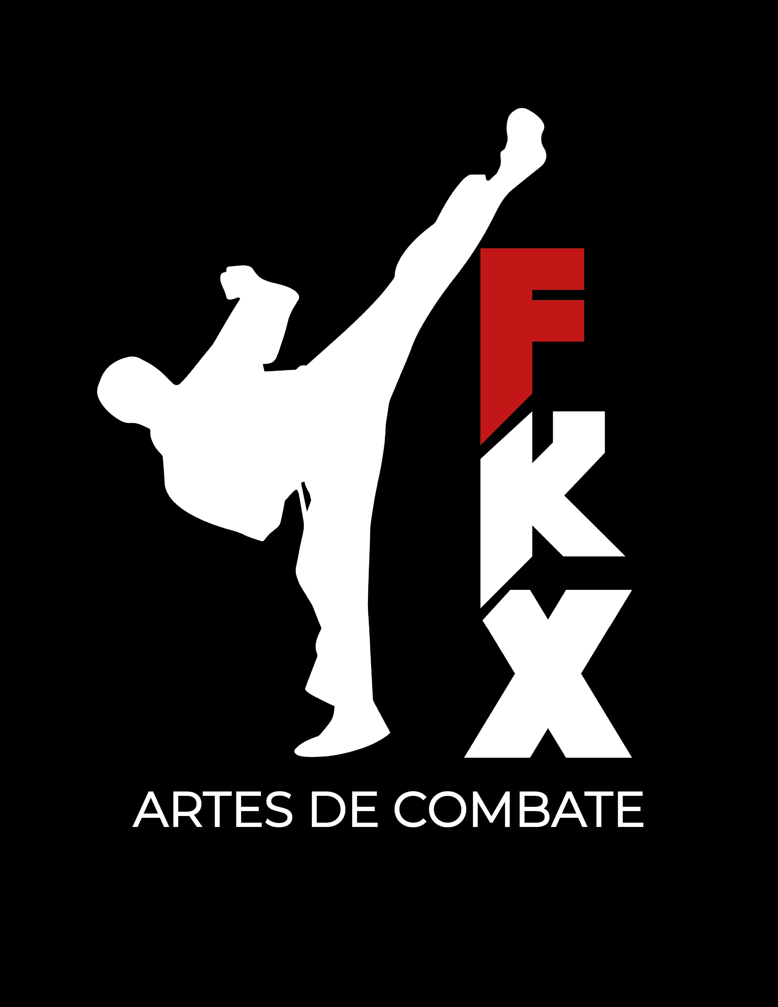 FKX artes de Combate 